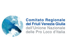 Comitato Regionale F.V.G.